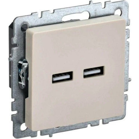 Розетка USB IEK BRITE BR-U21-D31-K10
