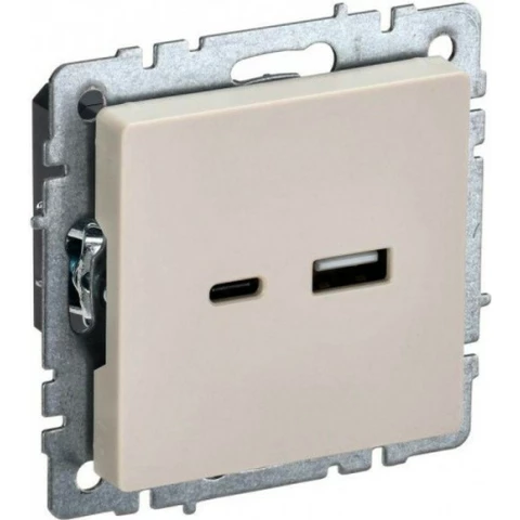 Розетка USB IEK BRITE BR-U22-018-K10