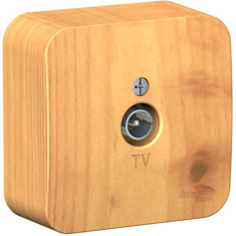 Розетка телевизионная Schneider Electric BLNTA000015