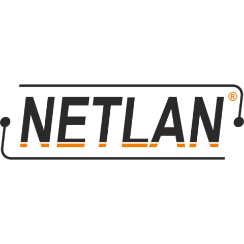 Шкаф NETLAN EC-FZ-246060-MMM-GY