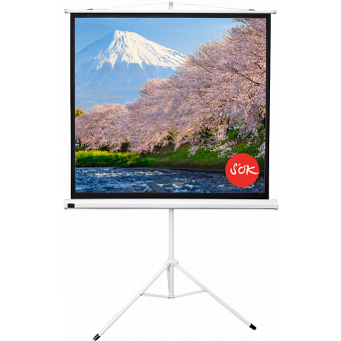 Экран Sakura Cinema S'OK SCPST-180x180GR