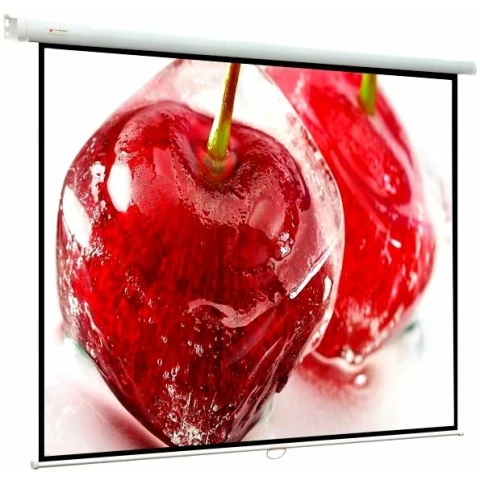 Экран ViewScreen Lotus 127x127см (WLO-1101)