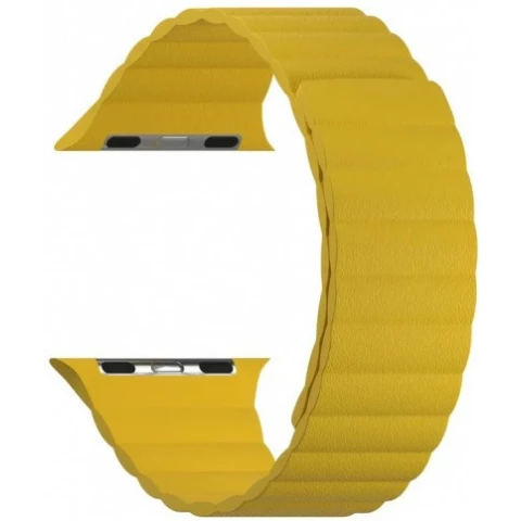 Ремешок Lyambda Pollux DSP-24-40-YL