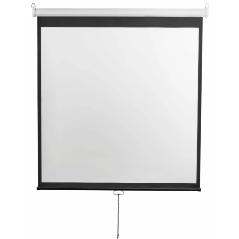 Экран Digis Optimal-D 248x250см MW (DSOD-1107)