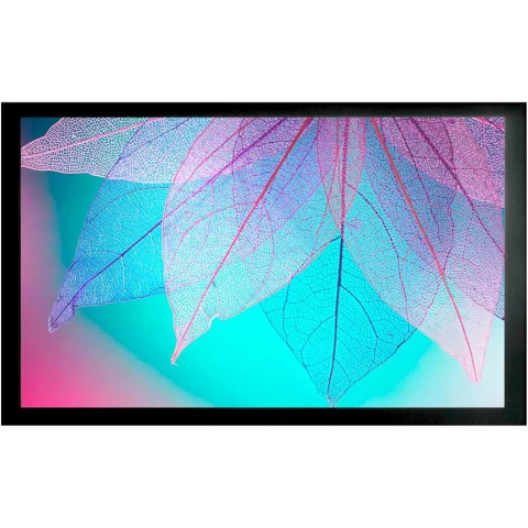Экран Cactus FrameExpert 124x220см (CS-PSFRE-220X124)