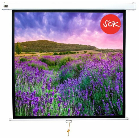 Экран настенно-потолочный Sakura 180x180см (SCPSW-180x180)