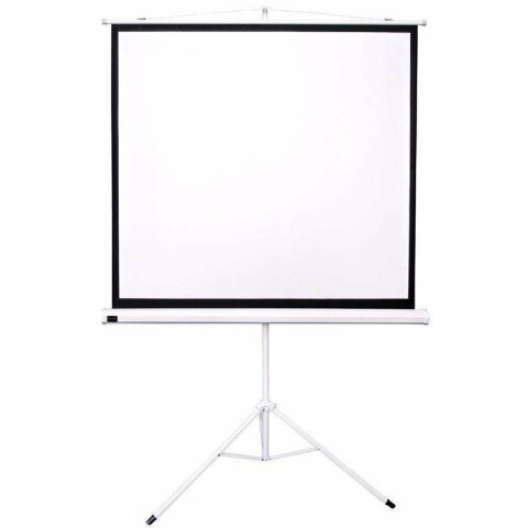 Экран Sakura TriScreen 200x200см (SCPST-200x200)