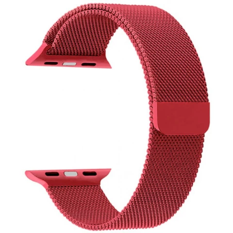 Ремешок Lyambda Capella DS-APM02-40-GS