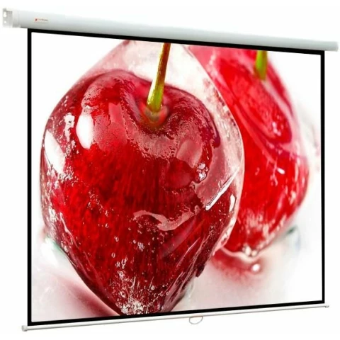 Экран ViewScreen Lotus 213x213см (WLO-1105)