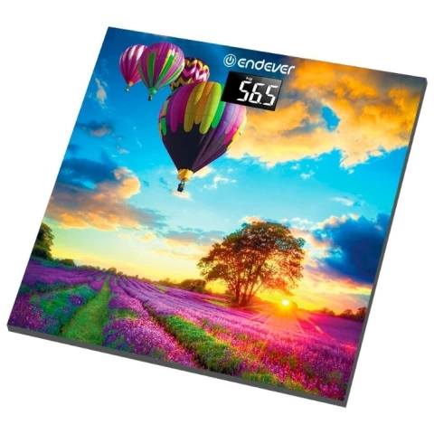 Напольные весы ENDEVER Aurora-551