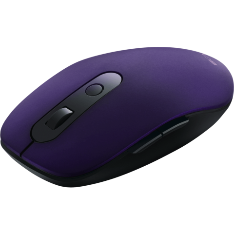 Мышь Canyon CNS-CMSW09V