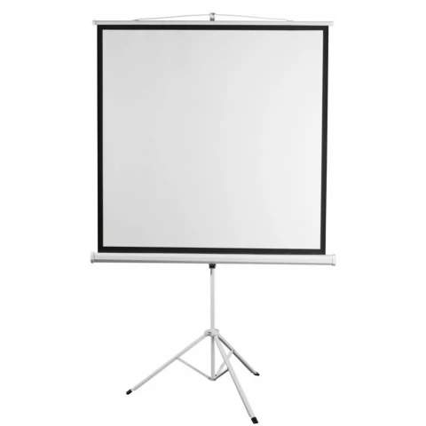 Экран Digis Kontur-D 248x250см MW