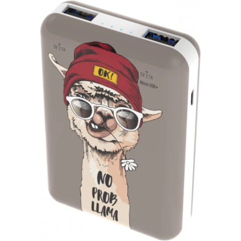 Внешний аккумулятор Ritmix RPB-10007 Lama