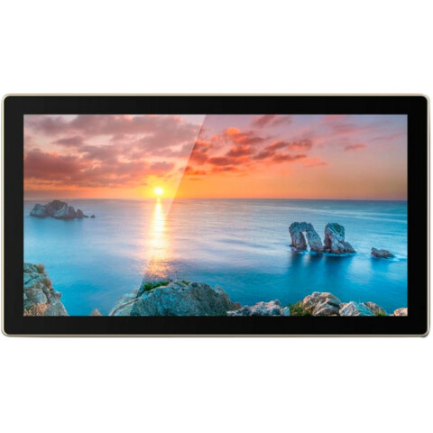 ЖК панель Goodview 55" TC55H1