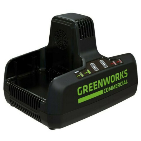 Зарядное устройство Greenworks G82C2