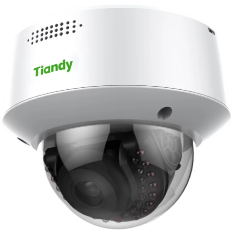 IP камера Tiandy TC-NC24M