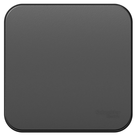 Переключатель Schneider Electric Blanca BLNVA106016