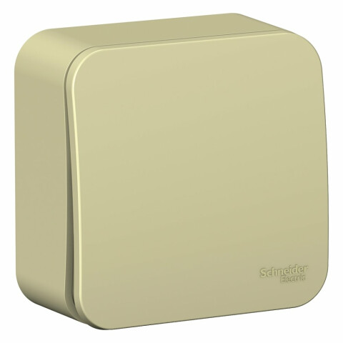 Переключатель Schneider Electric Blanca BLNVA106017