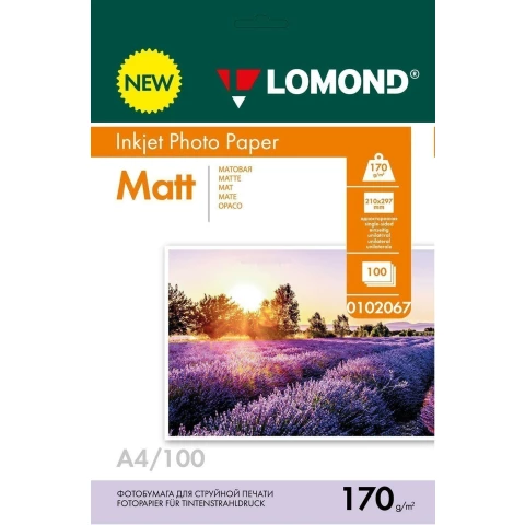 Бумага Lomond 0102067 (A4, 170 г/м2, 100 листов)