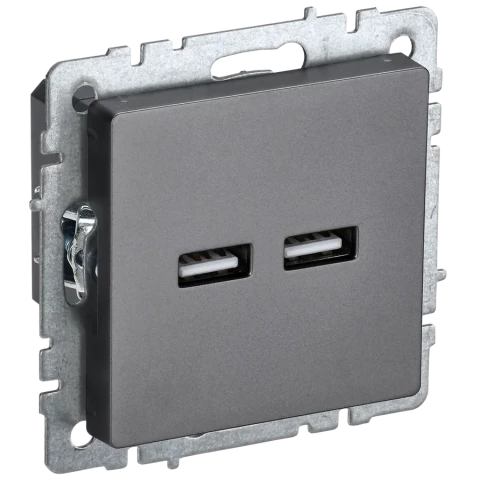 Розетка USB IEK BRITE BR-U21-D31-K46