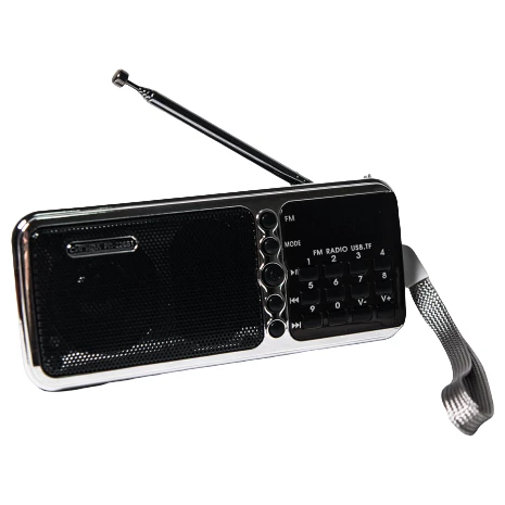 Радиоприёмник Сигнал РП-226BT Black/Silver