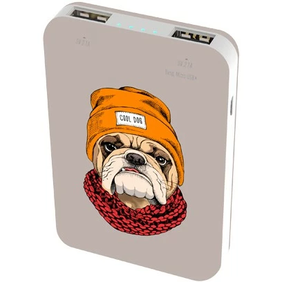 Внешний аккумулятор Ritmix RPB-10007 Bulldog