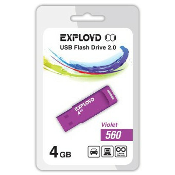 USB Flash накопитель 4Gb Exployd 560 Violet