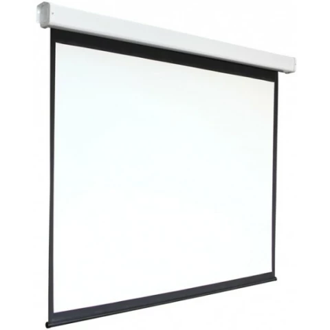 Экран Digis Electra-F 248x190см MW (DSEF-4304)