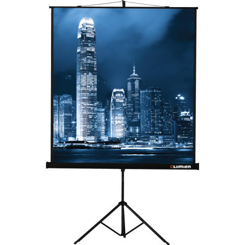 Экран Lumien Master View 165x220 Matte White FiberGlass