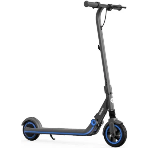 Электросамокат Ninebot eKickScooter Zing E10