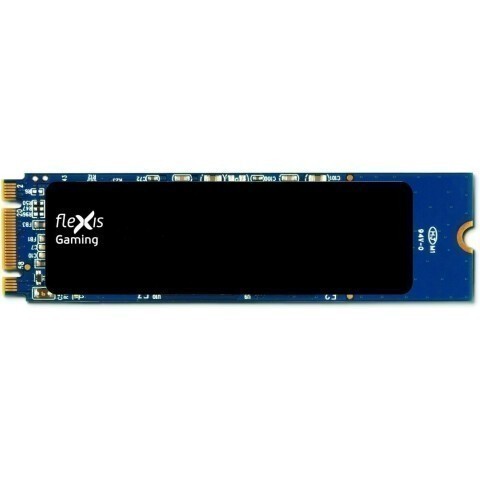 Накопитель SSD 500Gb Flexis (FSSD2280TGP-500)