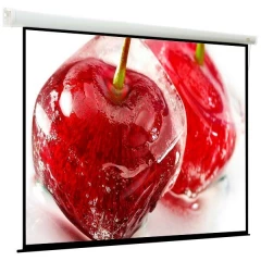 Экран ViewScreen Breston 203x203см (EBR-16103)