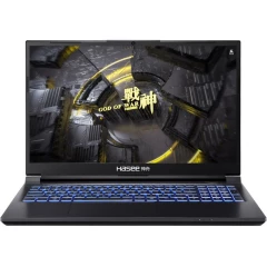 Ноутбук Hasee Z7D6 FHD