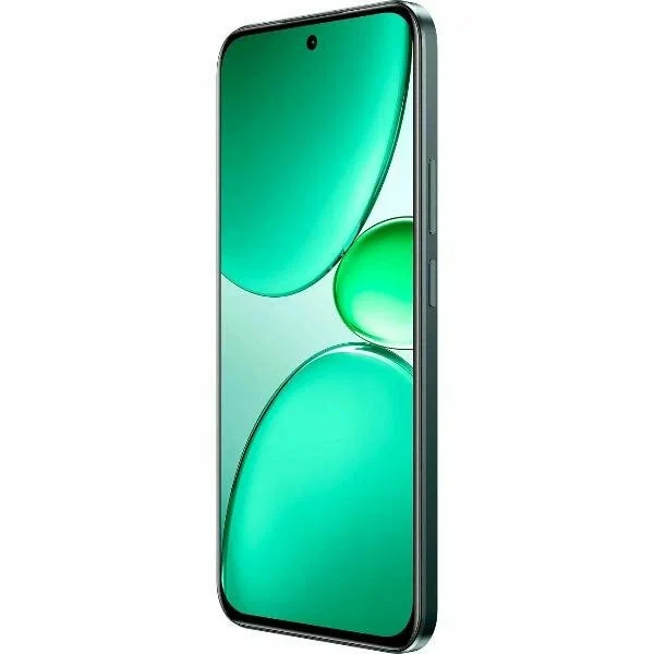 Смартфон Realme C85 Pro RMX5555 6/128Gb, темно-зеленый