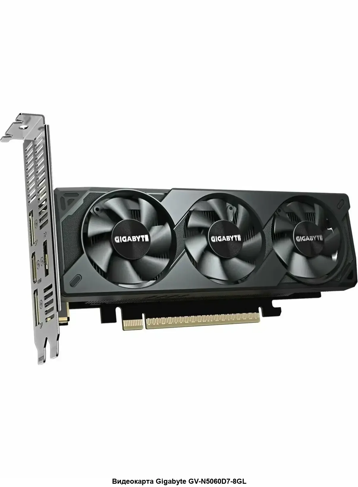 Видеокарта Gigabyte GeForce RTX 5050 OC 8GB (GV-N5050OC-8GL)