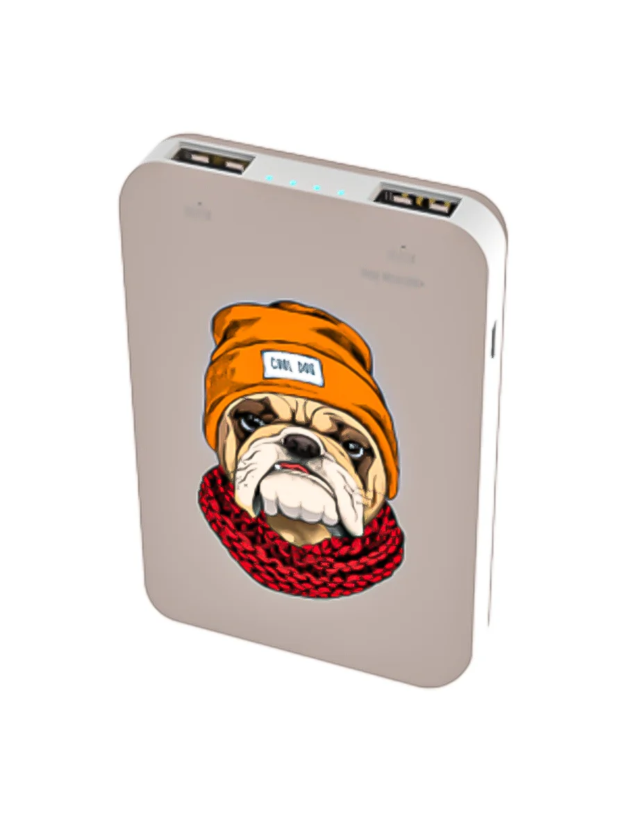 Внешний АКБ (Power bank) RITMIX RPB-10007 Bulldog (10000 мА, 2хUSB 2.1 А, софт-тач, принт Бульдог)