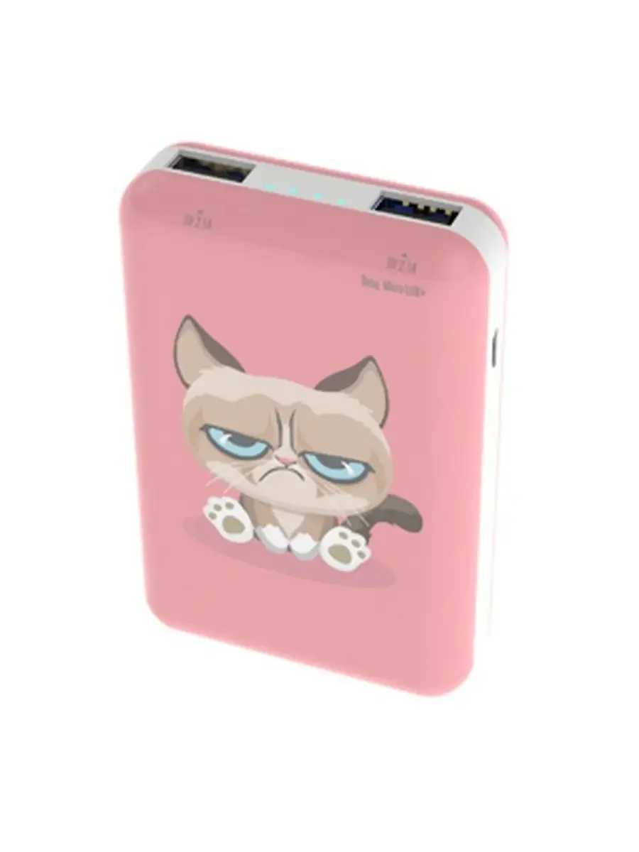Внешний АКБ (Power bank) RITMIX RPB-10007 Grumpy Cat (10000 мА, 2хUSB 2.1 А, софт-тач, принт Кот)