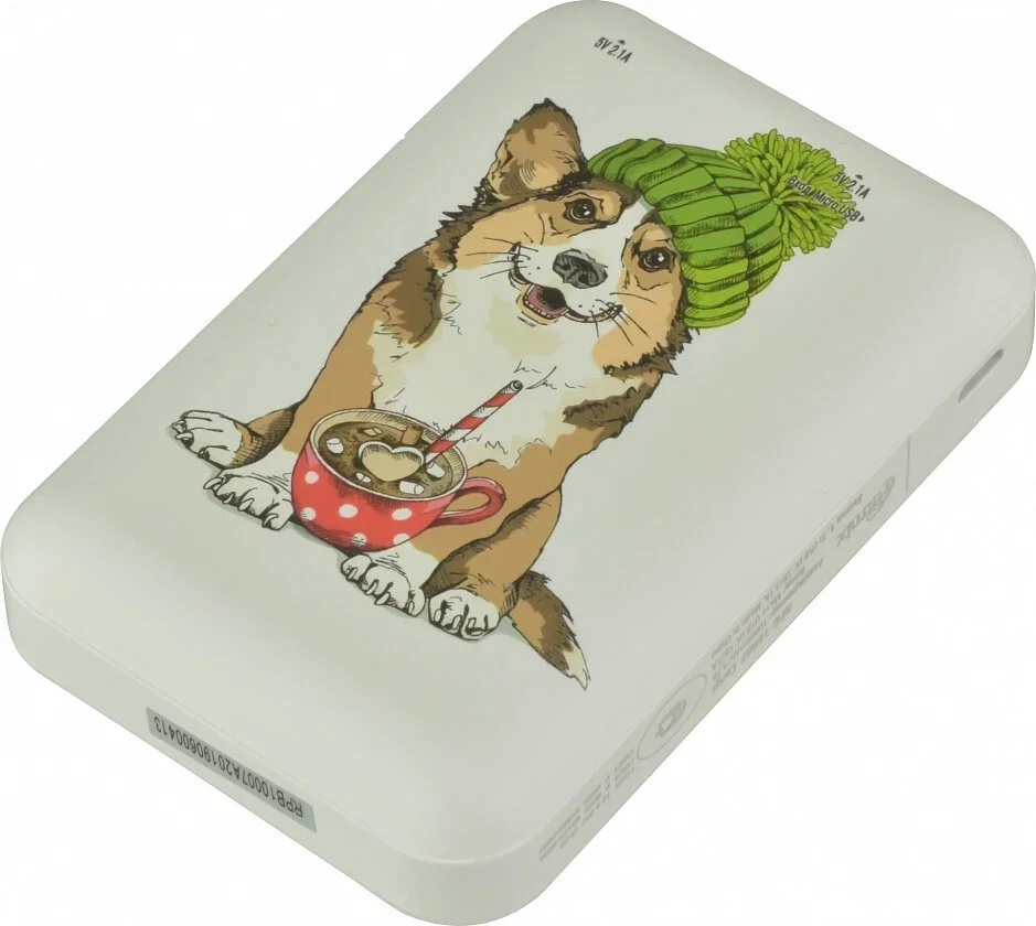 Мобильный аккумулятор RITMIX RPB-10007 Corgi