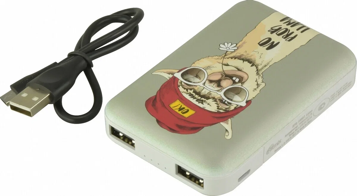 Мобильный аккумулятор RITMIX RPB-10007 Lama
