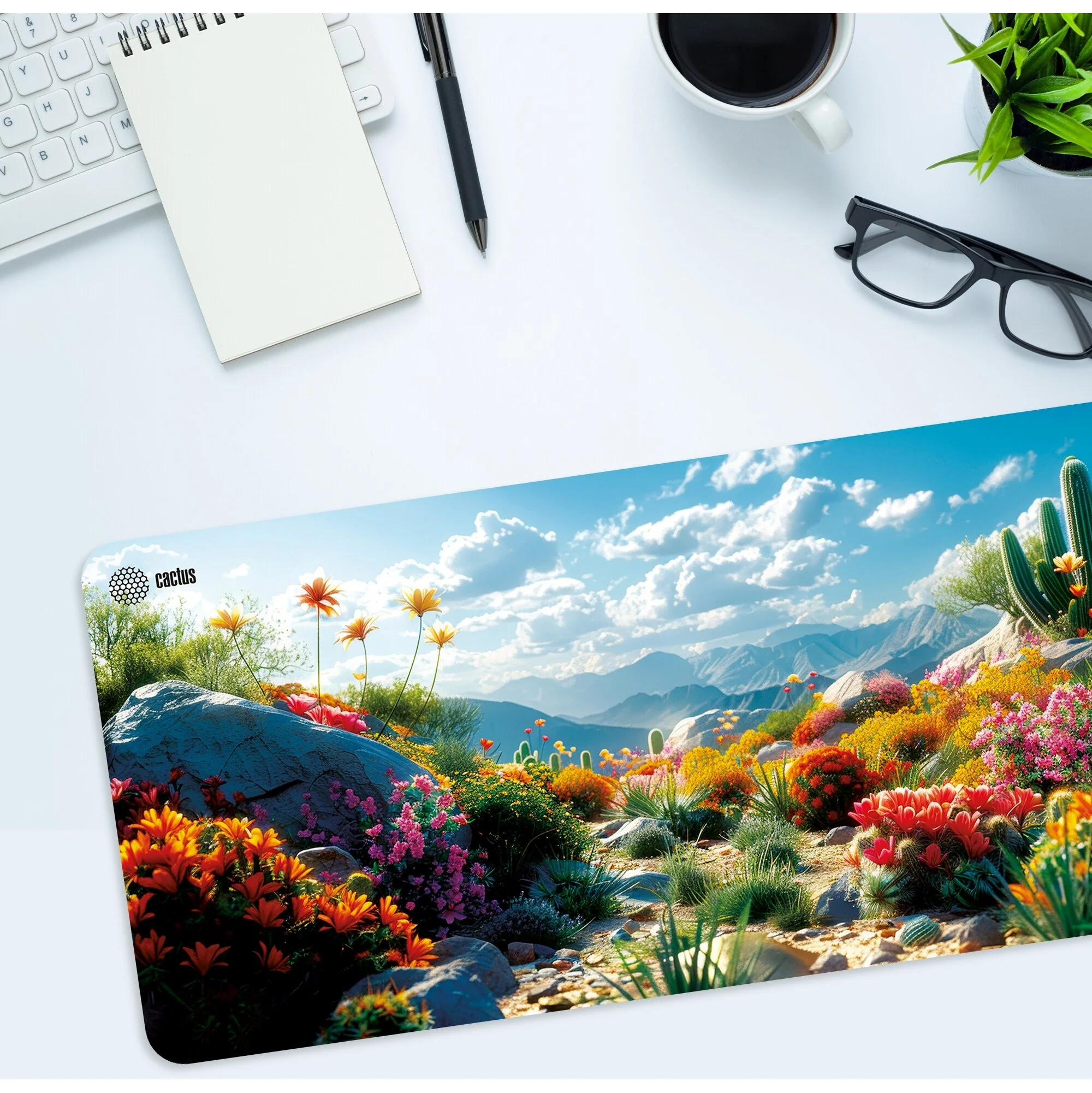 Коврик для мыши Cactus Desert landscape 900x400x3мм (CS-MP-PRO15XXL)