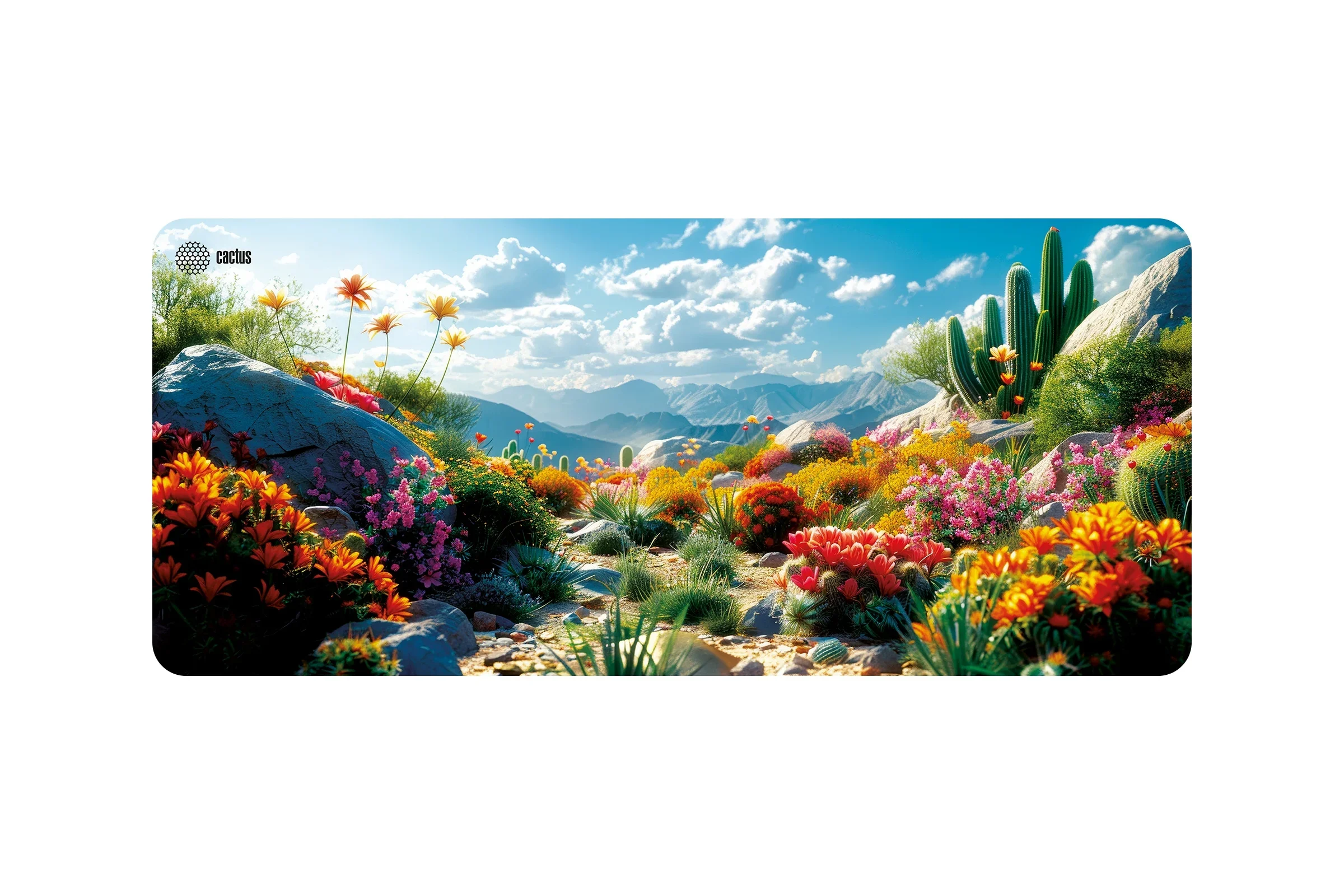 Коврик для мыши Cactus Desert landscape 900x400x3мм (CS-MP-PRO15XXL)