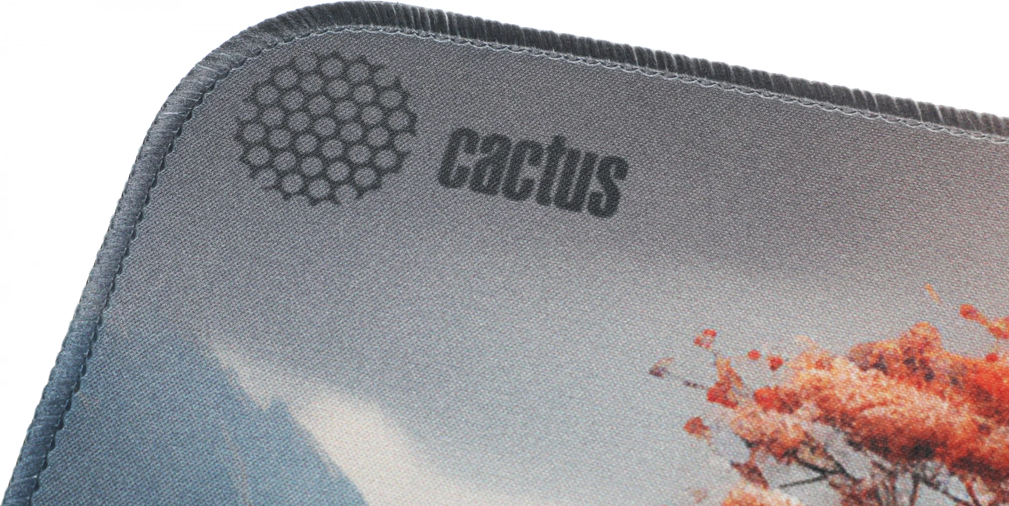 Коврик для мыши Cactus Lake 400x300x3мм (CS-MP-PRO18XL)