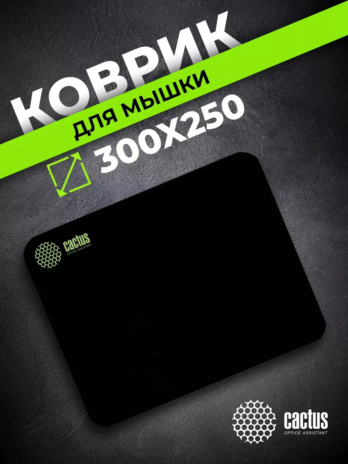 Коврик для мыши Cactus черный 300x250x2мм (CS-MPC-P01M)