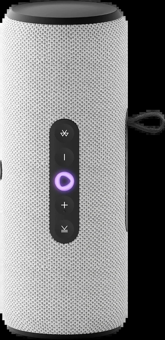 Умная колонка Яндекс Станция Стрит Алиса черный 30W 2.0 BT/Wi-Fi 10м 3300mAh (YNDX-00030BLK)