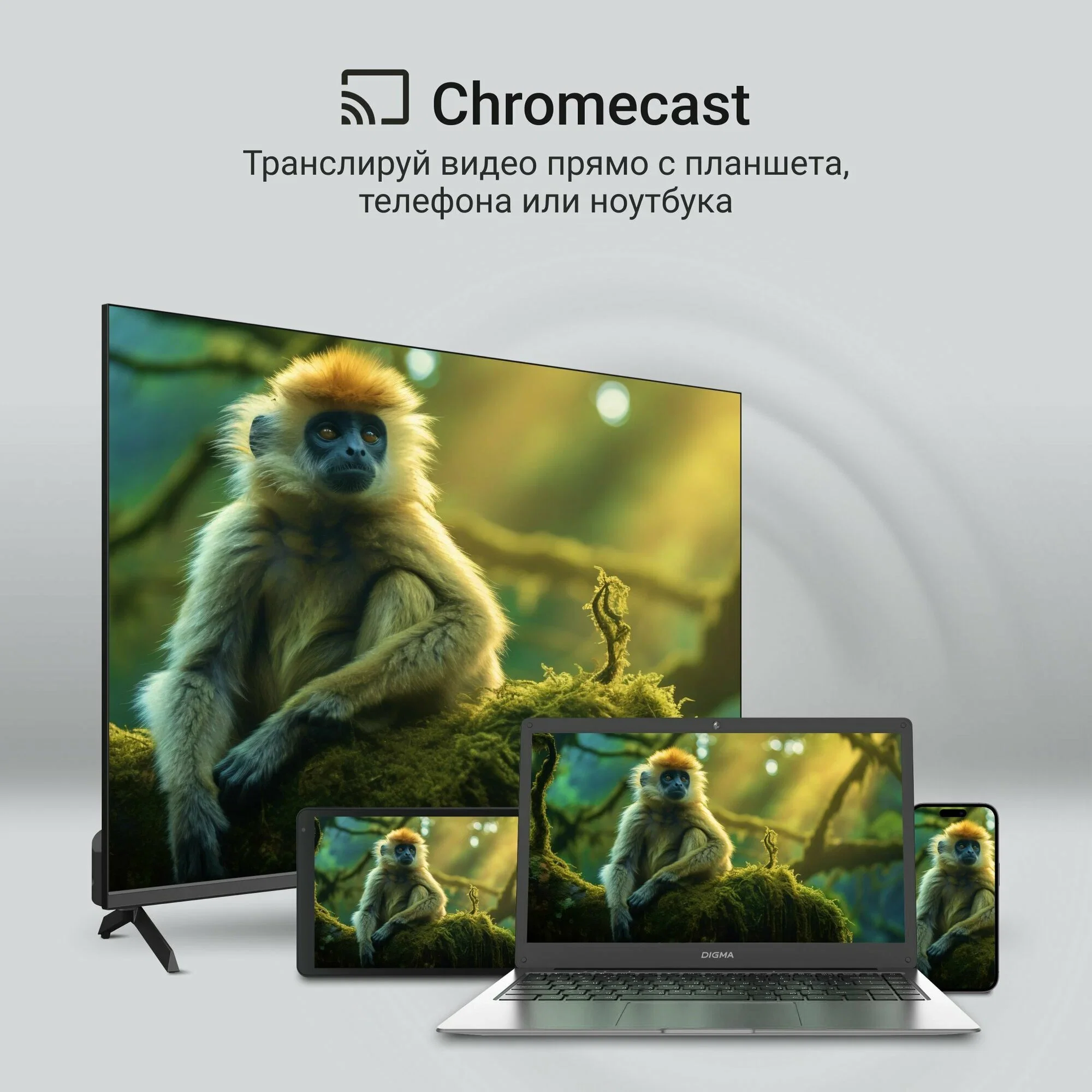 Телевизор QLED Digma 65" DM-LED65UQB31 Google TV Frameless Metal черный/черный 4K Ultra HD 60Hz MEMC DVB-T DVB-T2 DVB-C DVB-S DVB-S2 USB WiFi Smart TV