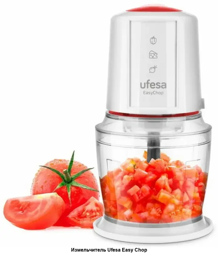 Измельчитель Ufesa Easy Chop