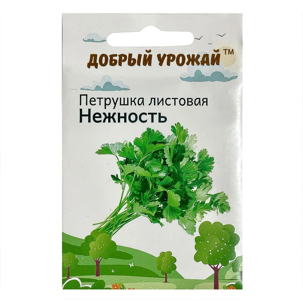 VETTA Набор семян "Зелень" в шоубоксе 40 шт, набор 4 вида