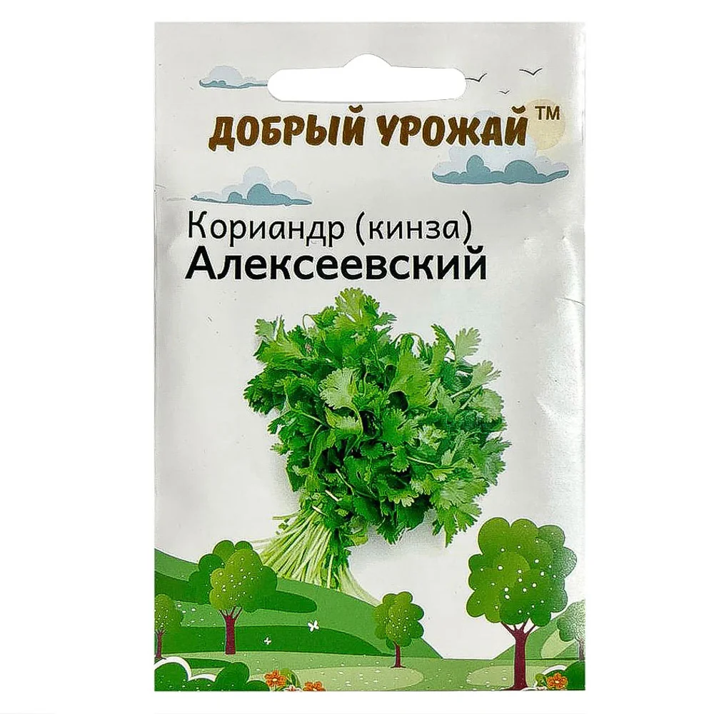 VETTA Набор семян "Зелень" в шоубоксе 40 шт, набор 4 вида