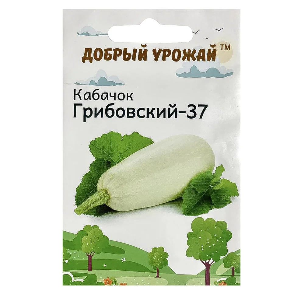 VETTA Набор семян "Овощи" в шоубоксе 40 шт, 4 вида