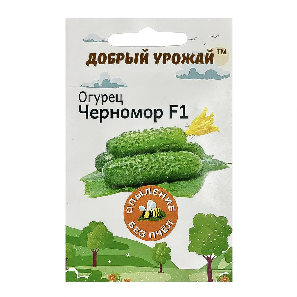 VETTA Набор семян "Овощи" в шоубоксе 40 шт, 4 вида